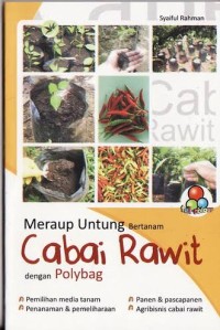 Meraup Untung Bertanam Cabai Rawit Dengan Polybag