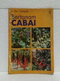 Image of Bertanam Cabai
