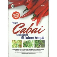 Image of Panen Cabai Setiap Hari di Lahan Sempit